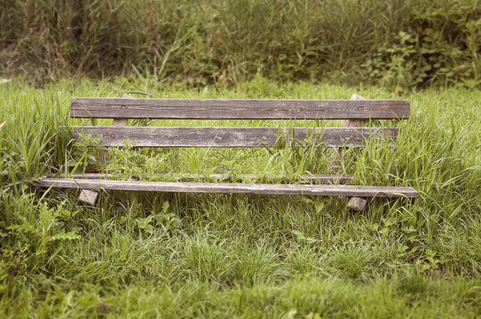 Old wooden bench overgrown with grass