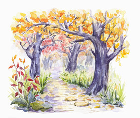 The trees autumn park . Watercolor illustration. Hand drawn  