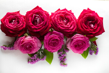 Beautiful rose flower in garden. Rose flower background. Roses flower texture. Lovely rose. Roses in tropical garden. Colourful roses flower. Roses flower pattern. Roses flower bouquet.