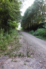 Fototapeta premium Mountain Road