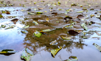 stamped concrete pavement, waterproof outer cement coating wet water slate stone tile pattern, decorative cement flooring exterior
