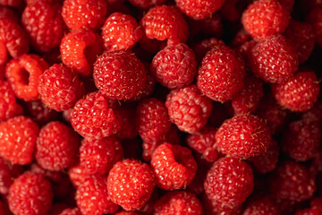 Red Raspberry background, ripe fresh organic raspberries, macro shot close up.