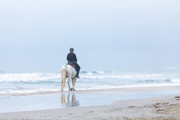 woman on a horse on the beach