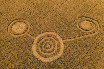 Fototapeta na wymiar Fake UFO circles on grain crop yellow field, aerial view from drone.