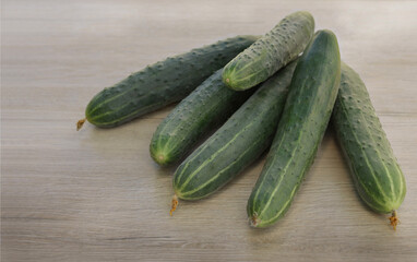 Freshly plucked green cucumbers from the garden