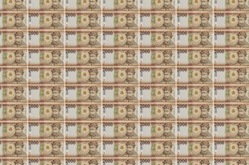 2000 Hungarian forint bills printed in money production conveyor. Collage of many bills. Concept of...