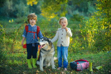 Little Boy and girl playing with his dog outdoors enjoying together. Happy little children having fun with dog pet on field.