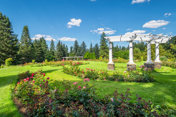 The Rose Hill Rose Garden in Manito Park, Spokane Washington, with a white pergola and roses in...