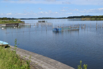 牛久沼（うしくぬま）／ 茨城県の牛久沼は小規模な漁業のほか、その水は主に農業用水として活用されています。また、週末などは多くの釣り人たちで賑わっています。沼に近い牛久市と同じ名前ですが、全域が龍ケ崎市の区域内です。