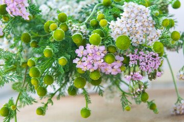 Meadow medical herbs - Chamomile and Achillea. Alternative medicine herbal grass © Koxae