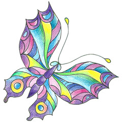 tropical butterfly drawing with color pencils with gradient coloring isolated on a white background