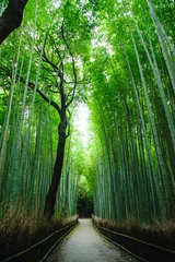 Schilderijen op glas Bamboo forest 'Chikurin' in Arashiyama, Kyoto, Japan.  A quiet bamboo forest path without people. It is usually full of tourists. © Eunkyung