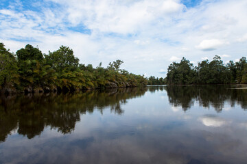 Fototapeta na wymiar Mangrove, Bas-Congo, Parc des Mangroves, Monda, DRCongo