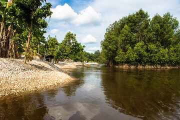 Parc des Mangroves, Moanda, DRCongo