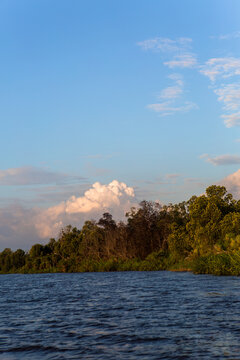 Parc des Mangroves, Moanda, DRCongo