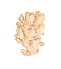 Ginger root on white background