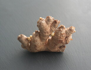 Fresh raw ginger root, rhizome on  grey  stone background