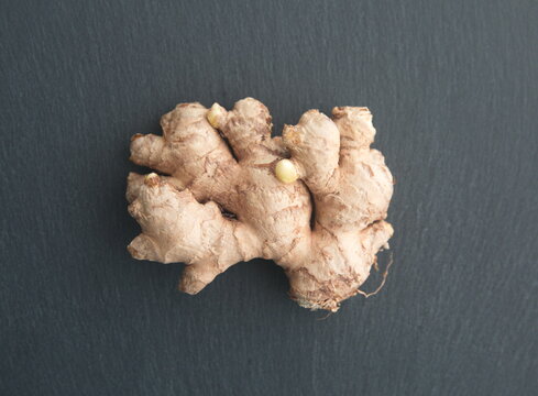 Ginger (Zingiber officinale), rhizome, ginger root,  medicine plant