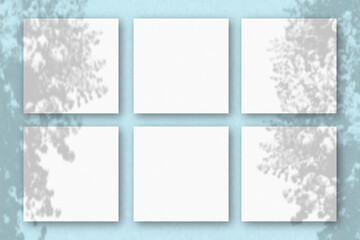 6 square sheets of white textured paper on the blue wall background. Mockup overlay with the plant shadows. Natural light casts shadows from an exotic plant.. Flat lay, top view