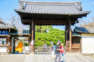 Fototapeta premium 京都 醍醐寺