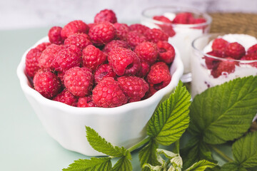 Cup of freshly picked raspberries and green leaves from Bush.
