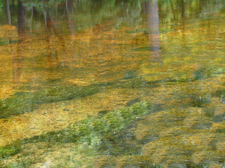Beautiful Rum Island Spring with reflections of trees in the clear, colorful water of a natural spring at Rum Island Springs County Park, Fort White, Florida, on the Santa Fe River.