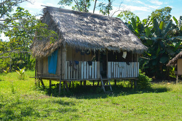 The straw dwelling of the inhabitants of native communities in the jungle of Peru