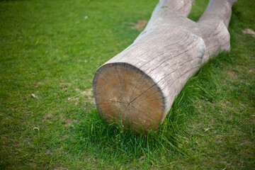 An old tree lies on the grass. 