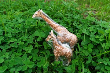 Giraffe is entangled in a plastic bag. Plastic animal concept.
