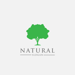 Logo design template, with a green tree icon