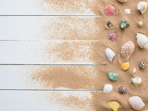 Sea shell with sand beath on wood background. top view with copy space.