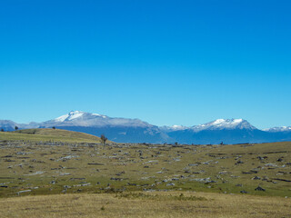 Deforestation in the Aysen Region in southern Chile