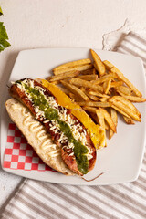 Choripan argentino en plato con papas fritas. Plato argentino tradicional de chorizo pan baguette chimichurri. queso 