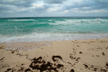 Summer tourism. Panorama view of the beach under a cloudy sky. The white sand, shore, coastline, seaweed, turquoise color water ocean and sea waves in Cancun, Mexico.