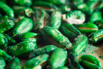 Food against pests such as rodents in residential premises