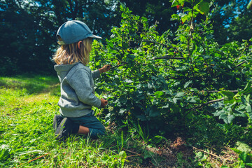 Little preschooler sitting on the ground by fruit bush