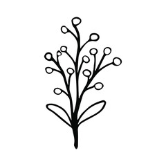 Sketch of a plant with berries. Vector isolated element for design. Doodle style.