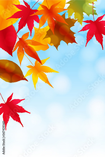 紅葉 もみじ 秋 背景 Wall Mural Wallpaper Murals J Boy