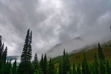 Foggy Mountain Morning in Colorado