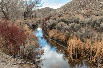desert creek in autumn with reflection