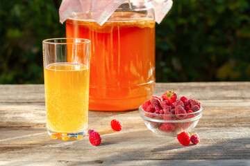 Kombucha Its properties and contraindications.