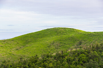 Fototapeta na wymiar Green glass field on top of mountain.