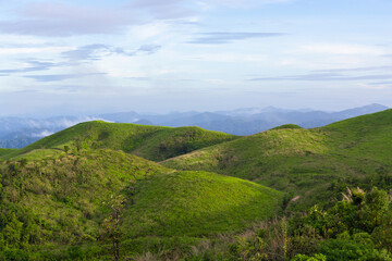 Obraz premium Green glass field on top of mountain.