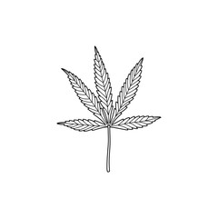 A marijuana leaf in a trending minimal linear style. Outline Of A Medical Cannabis Leaf. Vector illustration