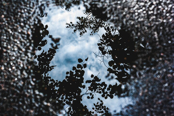 Puddle on the asphalt