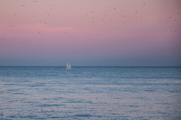 Fototapeta premium sailboat on the sea