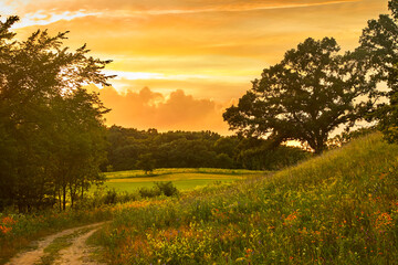 Obraz na płótnie Canvas Orange sunset over wild flower field with country dirt road winding through the photo