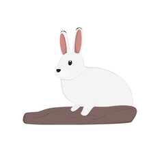 Arctic Hare Illustration