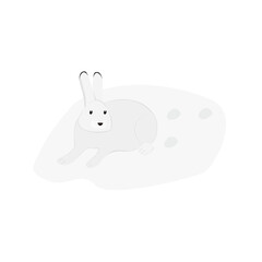 Arctic Hare Illustration