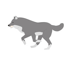 Wolf Illustration